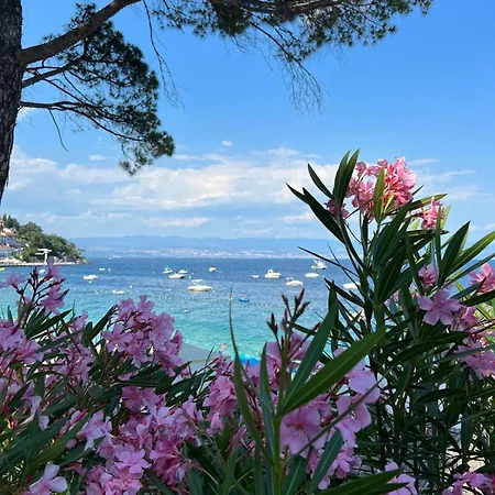 Aurora * Οπατία